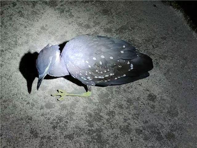 海南，中国的热带明珠