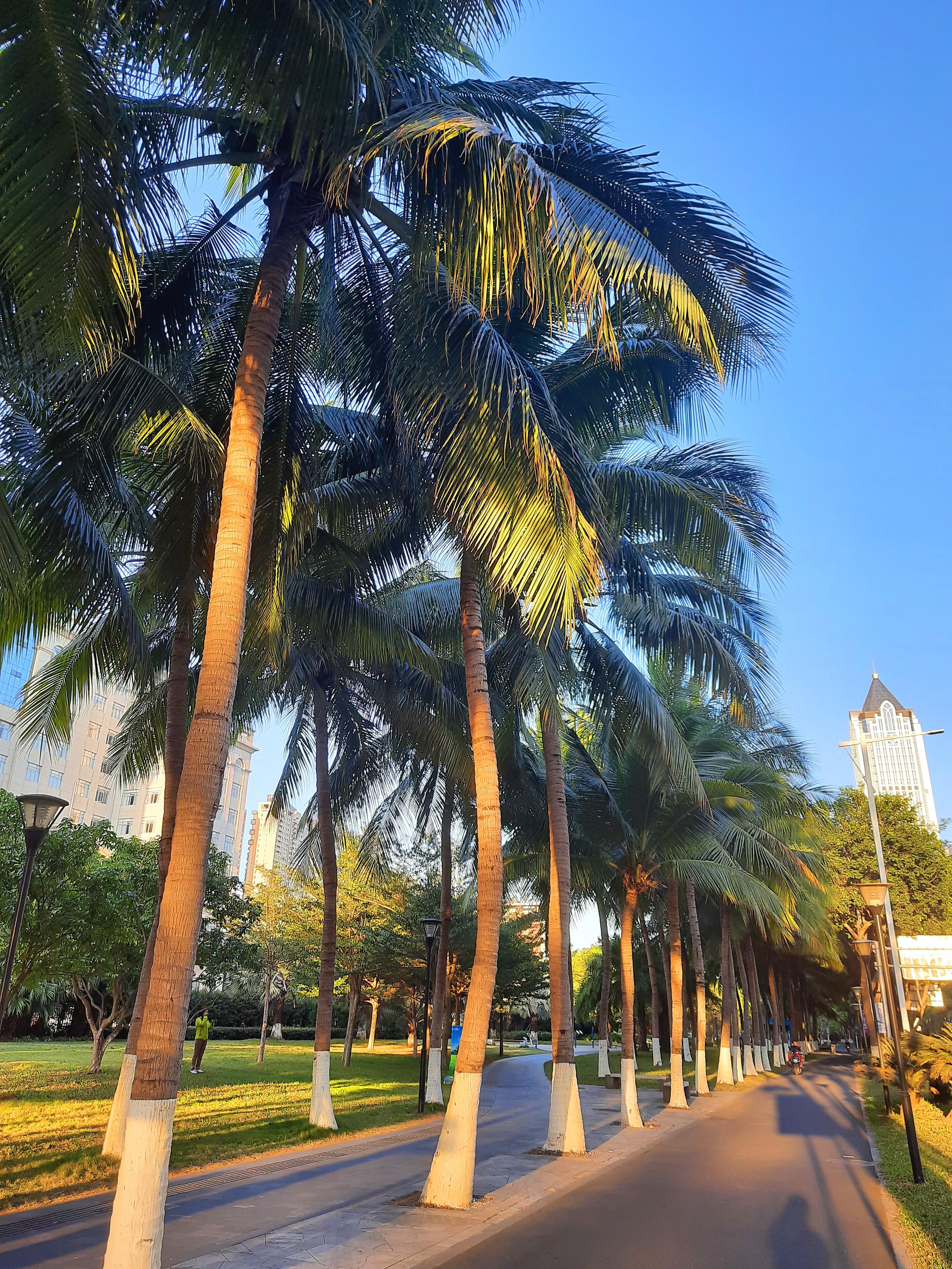 海南,中国的热带明珠